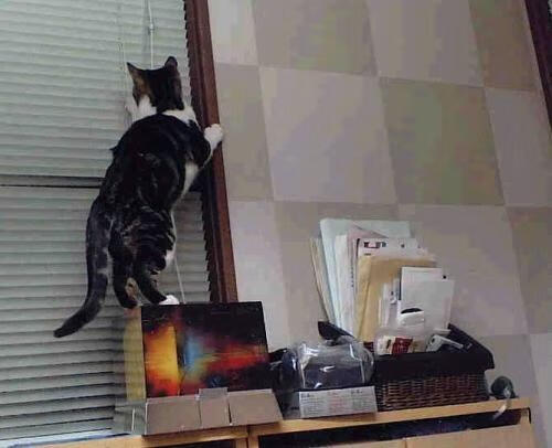 【奥沙利文】传奇球手的复出之路，战术打法全面解析，奥沙利文的击球动作