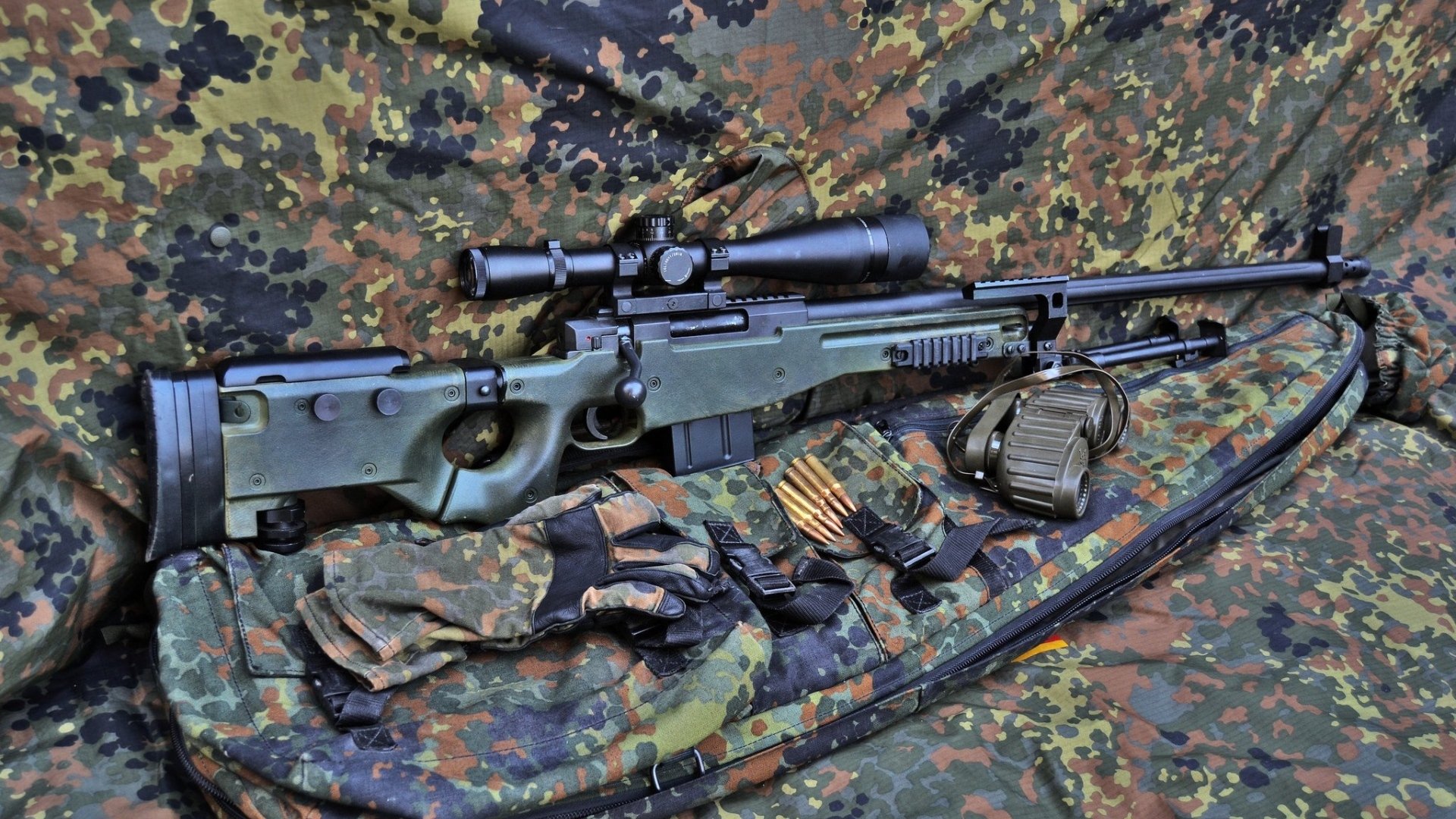 克罗地亚马术协会与学校合作,开展马术教育课程,推广马术文化。