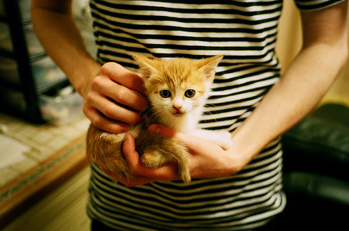 Kaiyun APP-关键战术：比赛中的“秘密武器”揭秘，关键之战